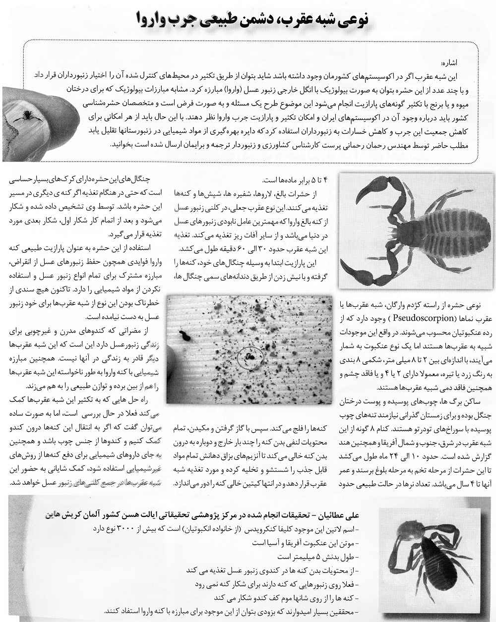 بازتاب این مطلب در مجله صنعت زنبورداری ایران