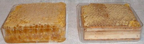 روش تولید انواع عسل شان-18