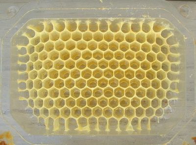 روش تولید انواع عسل شان-25