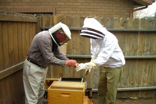 آموزش زنبوردار مبتدی