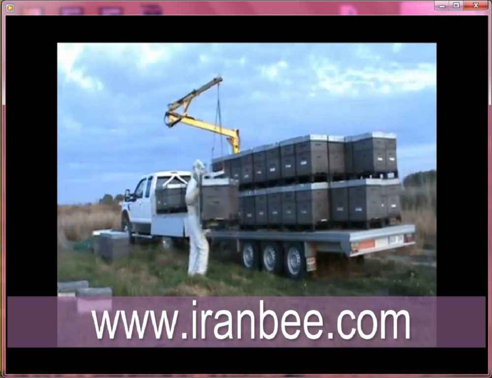 دانلود فیلم حمل کندوهای زنبور عسل با دستگاه مخصوص