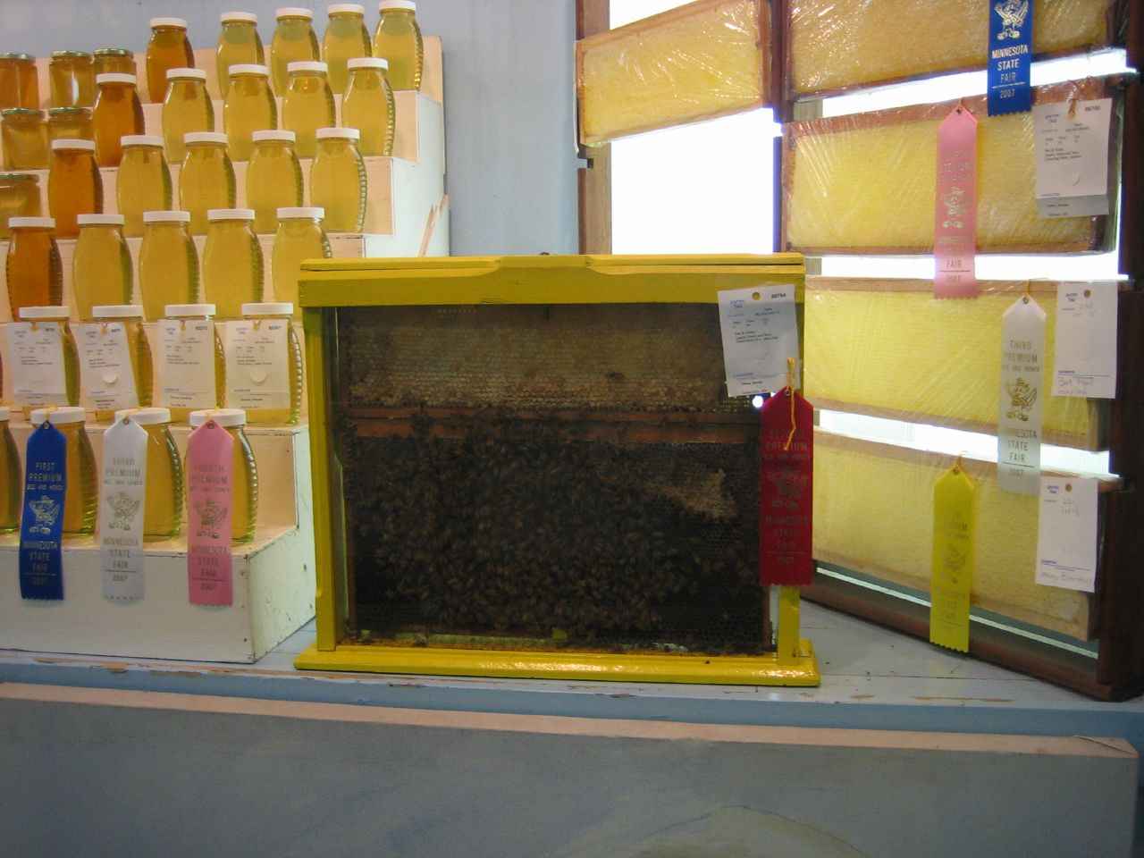 رنگ ها و بسته بندی های مختلف عسل