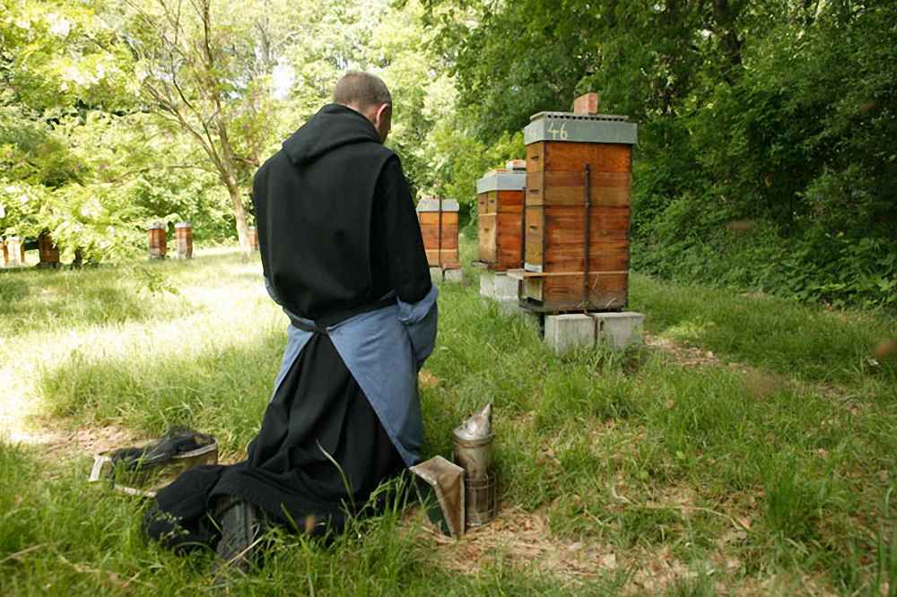 زنبور داری برای تولید موم کلیسا